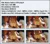 Video Indo (Selalu Diperbaharui/Updated) - Page 2 5b6a899790a3c