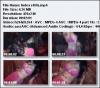 Video Indo (Selalu Diperbaharui/Updated) - Page 2 5b6fc14d477de