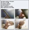 Video Indo (Selalu Diperbaharui/Updated) - Page 3 5b83cc7be4805
